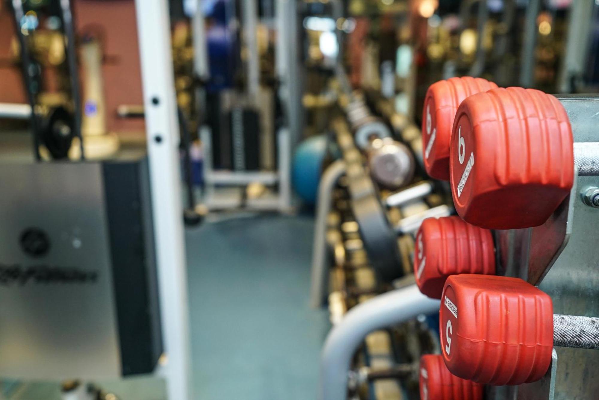 Sonesta Hotel Tower & Casino Cairo Exterior photo The gym at the University of Roehampton